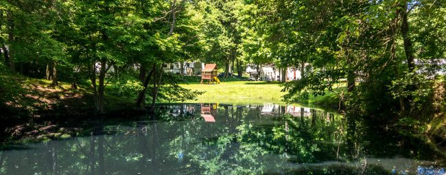 lake photo with green grass