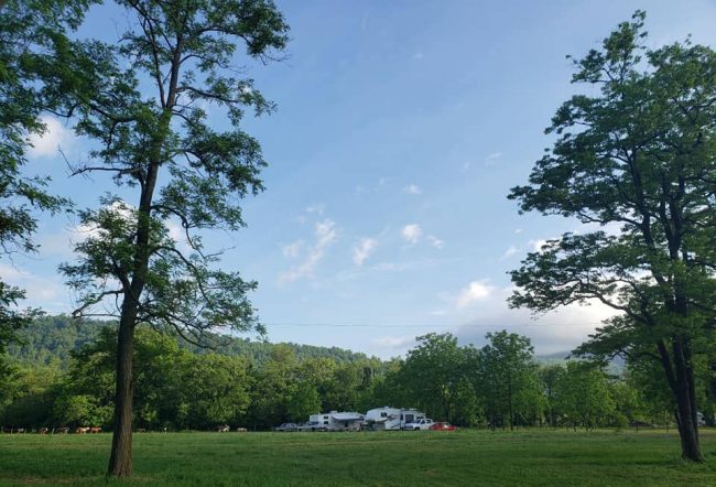 Top 5 Activities at Chestnut Ridge Campground Top 5 Activities at Chestnut Ridge Campground