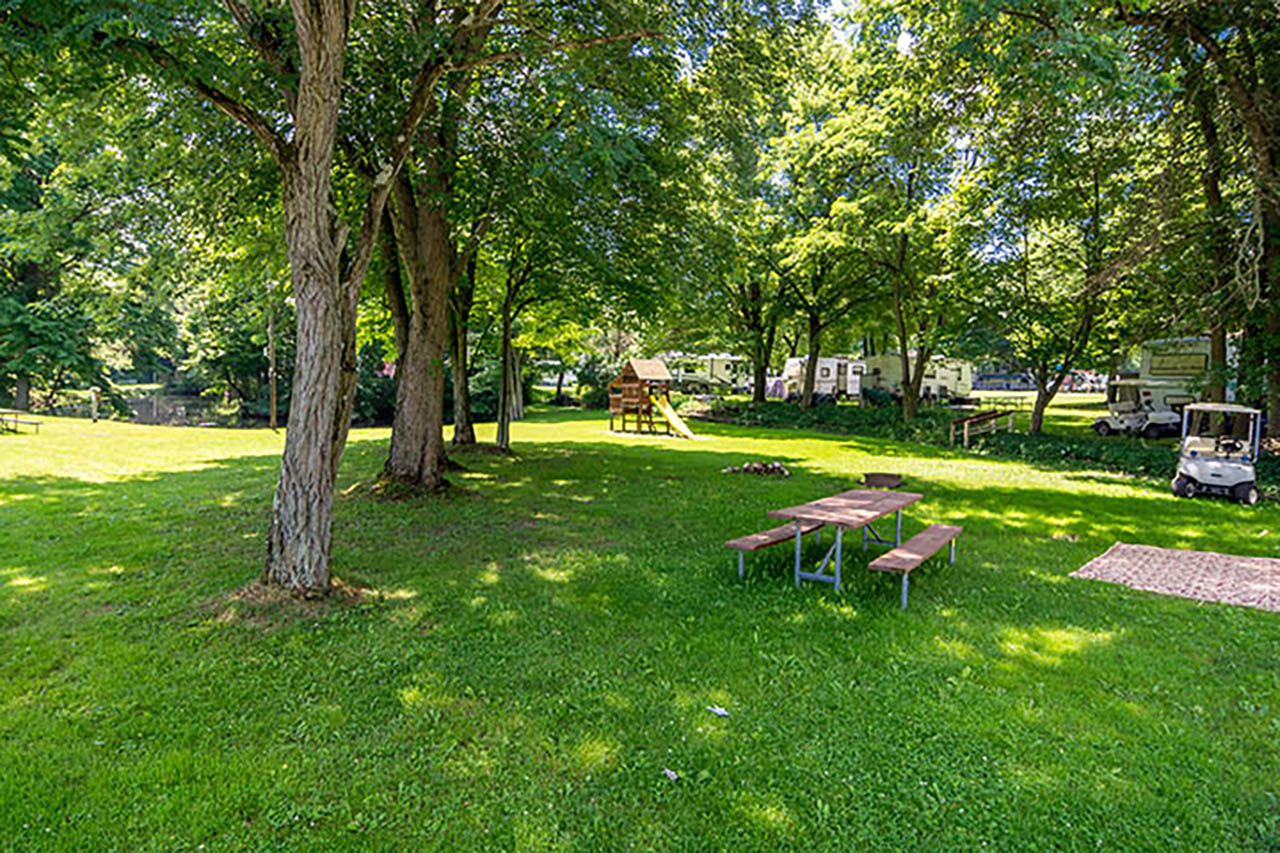 Shaded tent campsite with picnic table and fire ring at Chestnut Ridge Campground in Hubbard, Ohio